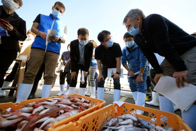 국제원자력기구(IAEA)가 지난해 10월 19일 후쿠시마 제1원자력발전소 오염수 해양 방류 이후 처음으로 원전 인근 해역에서 잡은 수산물 조사에 착수했다. 이날 IAEA 관계자와 한국·중국·캐나다 3국의 연구원들이 일본 후쿠시마현 이와키시 히사노하마항에서 잡힌 생선을 살펴보고 있다. 이와키=AP 연합뉴스