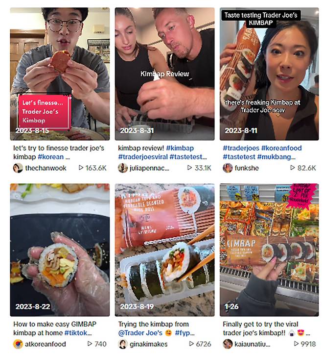 틱톡에 올라온 냉동 김밥 리뷰 영상들. ⓒ틱톡 화면 갈무리