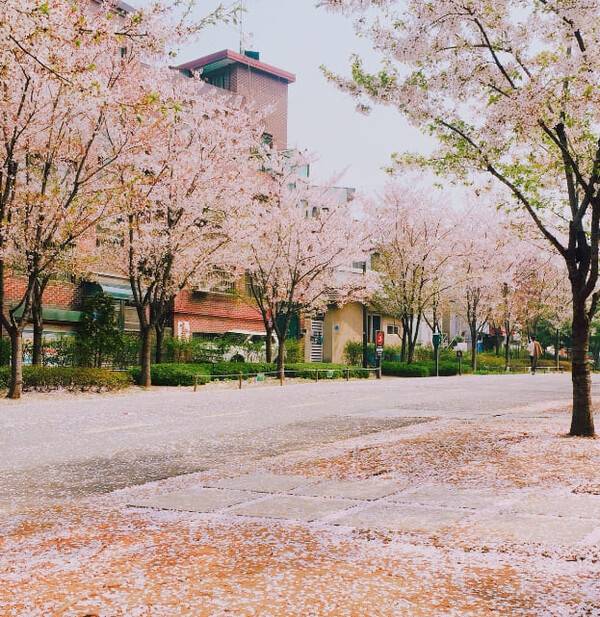 온라인 커뮤니티