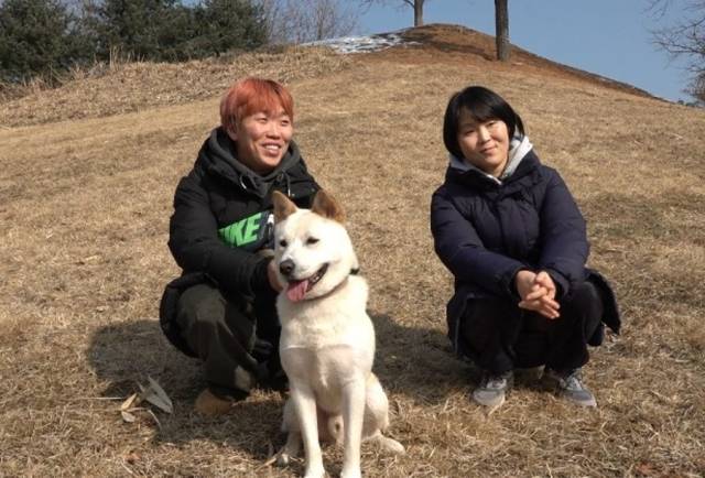 지난 1월 출연한 서울 올림픽공원의 유기견 동경이가 개st하우스 100번째 입양의 주인공이 됐다. 지난 2020년 5월 이후 출연한 126마리 가운데 79%는 동경이처럼 입양길에 올랐다. 최민석 기자