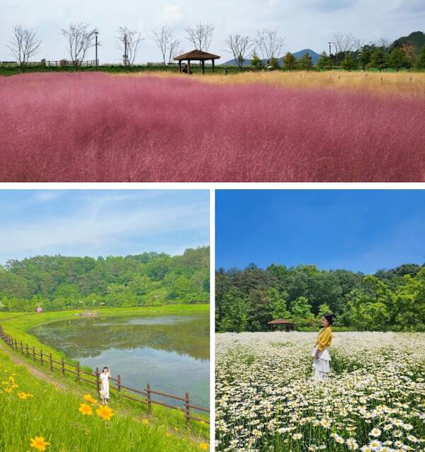 함안 가볼만한 곳 BEST 7 / @yeon201 / @j__.yj