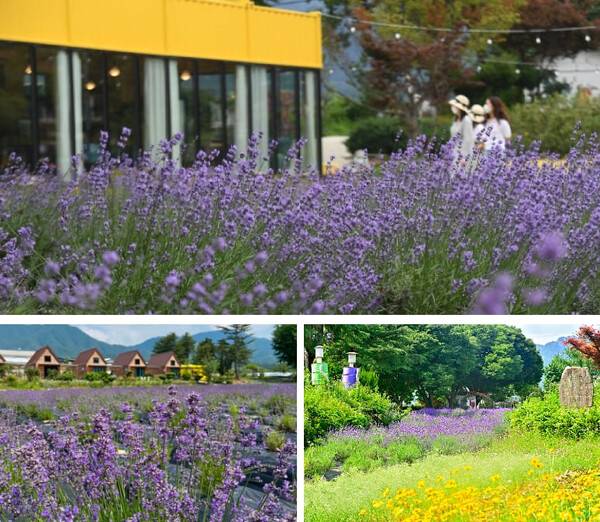 거창 가볼만한 곳 BEST 5 / 온라인 커뮤니티