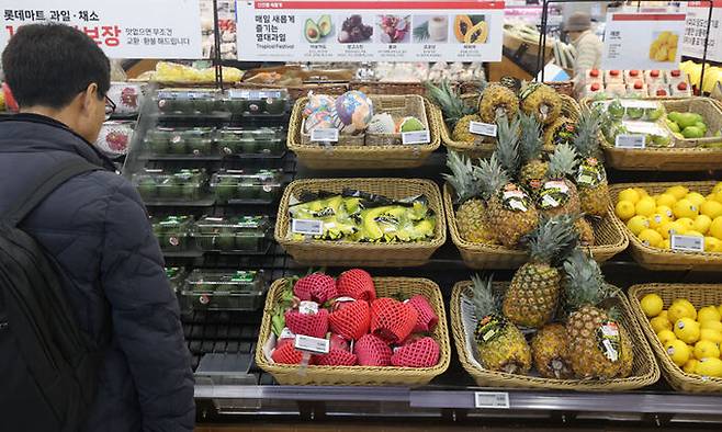 과실 물가 상승으로 인해 수입산 과일에 대한 수요가 증가하고 있는 지난 13일 서울의 한 대형마트에서 시민이 과일을 고르고 있다. 연합뉴스