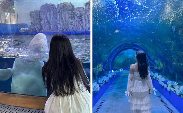 여수 가볼만한 곳 BEST 10 필수코스 총정리 / @april1ee_ / @soy_1099