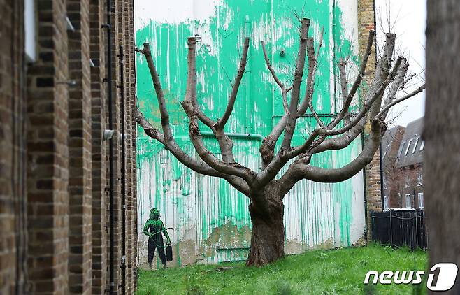 18일(현지시간) 영국의 이름 없는 화가 뱅크시(Banksy)가 공개한 새로운 작품. 런던 북부의 한 아파트에 나뭇잎처럼 보이는 초록색 벽화가 그려져 앙상한 벚나무와 조화를 이루고 있다. 2024.03.18 ⓒ 로이터=뉴스1 ⓒ News1 정지윤 기자