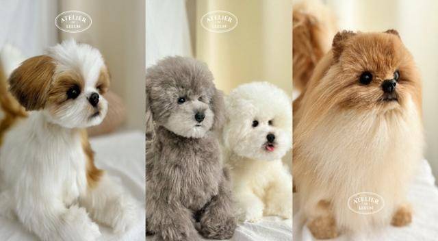 이은지씨는 지난해 대한반려동물공예협회가 발행하는 반려동물양모펠트지도사 2급 자격증을 취득했다. 이씨는 회사를 다니면서도 짬짬이 반려동물 양모펠트 인형을 만들고 가르친다. 현재는 반려동물아트돌지도사 2급 자격 과정 중에 있다. 사진은 그가 직접 만든 아트돌들. 이씨 제공