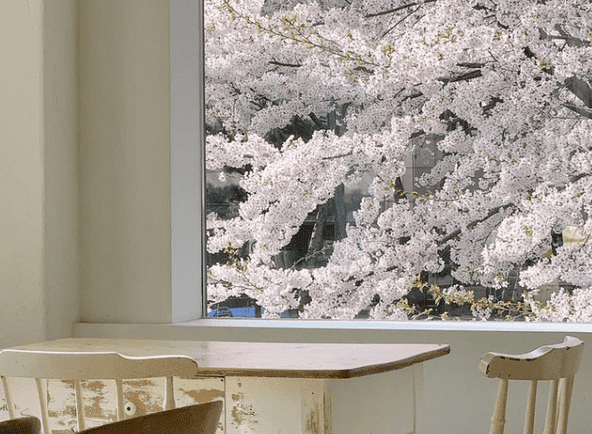 온라인 커뮤니티