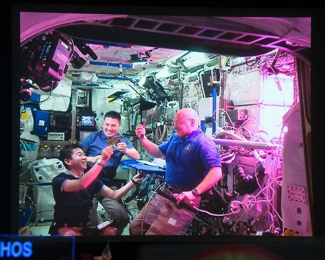 2015년 NASA 우주비행사들은 ISS(국제우주정거장)에서 성장한 첫 번째 식물을 수확하는 데 성공했다. 식물 표본은 지구로 가져가 우주와 지구의 생장 환경을 비교하는 데 활용한다. /사진=NASA