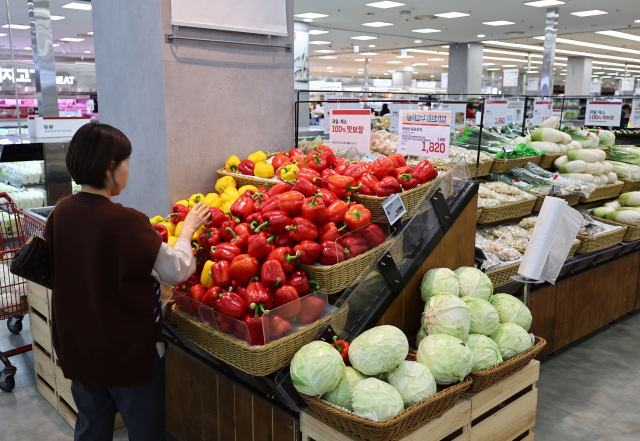 ▲2월 소비 감소폭은 작년 7월(-3.1%) 이후 7개월 만에 가장 컸다. 26일 오후 서울의 한 대형마트의 농산물 코너. ⓒ연합뉴스