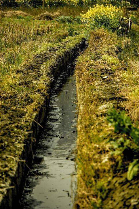 기사의 내용과 무관한 자료사진ⓒ게티이미지뱅크