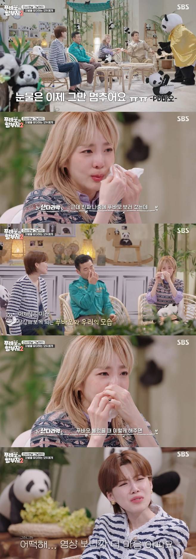 티브이데일리 포토