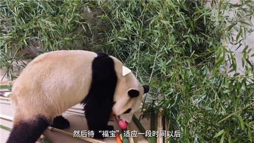 신화통신 웨이보 캡처