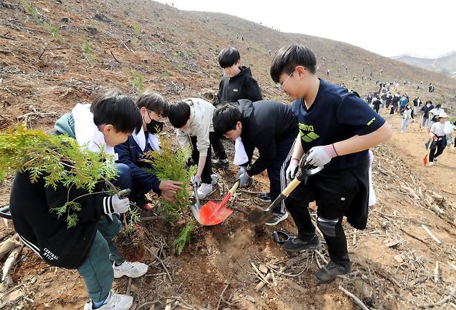 지난 2일 충남 홍성군 서부면 양곡리 산불 피해지역 일원에서 열린 제79회 식목일 기념 희망의 나무심기 행사에서 학생들이 편백나무를 심고 있다. /신현종 기자