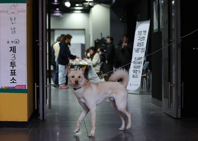 서울 용산구 중부기술교육원에 마련된 한남동 제3투표소 앞에 10일 반려견이 주인을 기다리고 있다. 연합뉴스