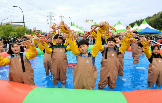 ▲ 동해시가 주최하고 동해문화관광재단이 주관하는 ‘2024년 동해항 크랩킹 페스타’가 ‘맛있 게, 신나 게, 다양하 게’를 부제로 12일부터 오는 15일까지 4일간 추암 러시아 대게마을 일원에서 열린다. 2023년 축제에서 크랩 맨손잡기 체험 모습. 사진제공=동해시