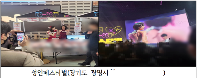 지난해 경기 광명에서 열린 성인페스티벌. 독자 제공