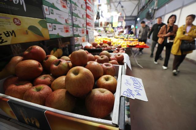 10일 서울 마포구 마포농수산물시장에 사과가 진열돼 있다. 사과를 포함한 과일은 지난해 작황 부진으로 물가 상승을 이끄는 요인으로 작용하고 있다. 연합뉴스