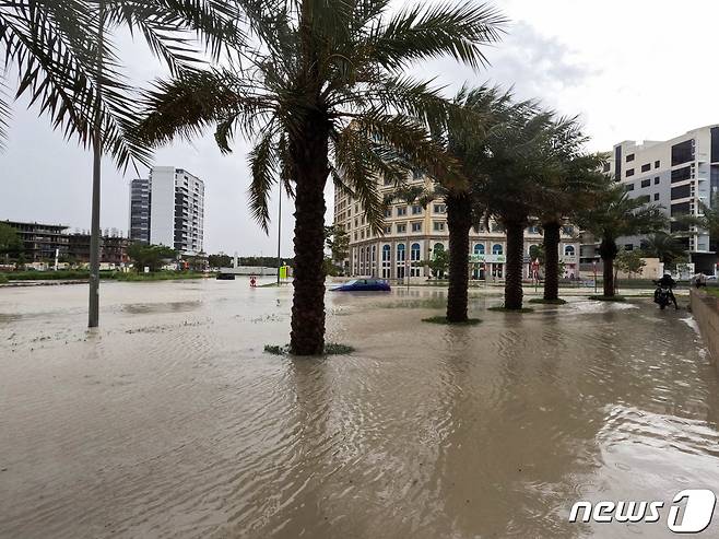 두바이에 폭우가 내려 거리가 물에 잠겼다.  가로수인 야자수가 을씨년스럽다. ⓒ 로이터=뉴스1 ⓒ News1 정지윤 기자