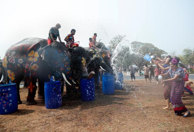 태국 송크란을 앞둔 지난 9일 아유타야에서 코끼리가 시민들을 향해 물을 뿌리고 있다. 아유타야=EPA 연합뉴스