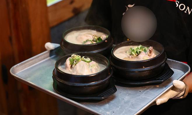 기사의 이해를 돕기 위한 자료 사진. 연합뉴스