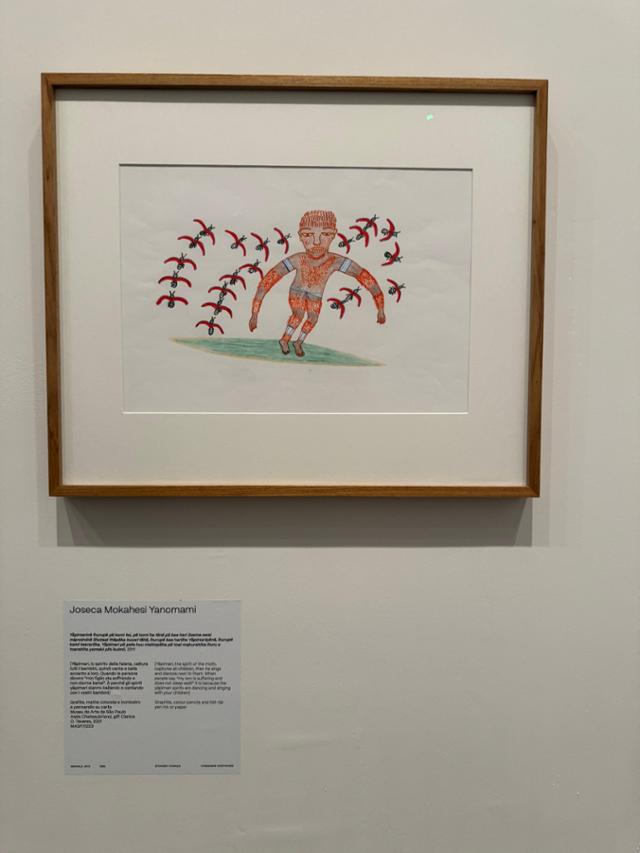 브라질 선주민 호세카 모카페시의 그림. 모기의 영혼에 대한 주술적인 내용을 담고 있다. 베니스=이혜미 기자