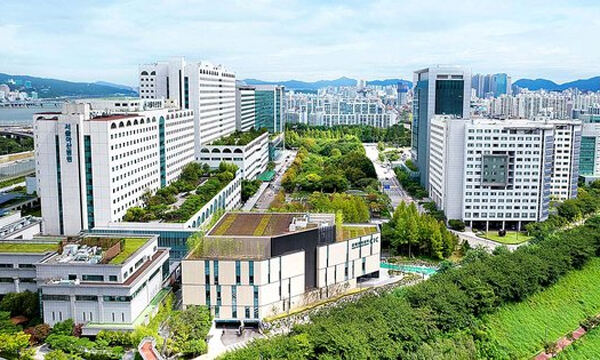 서울아산병원은 19일까지 의사를 제외한 직원들을 대상으로 희망퇴직 신청을 받는다. 서울아산병원 전경