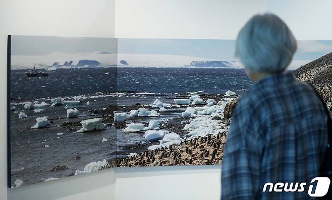 지난 2022년 열린 '그린피스 남극 사진전' 모습 ⓒ News1 민경석 기자