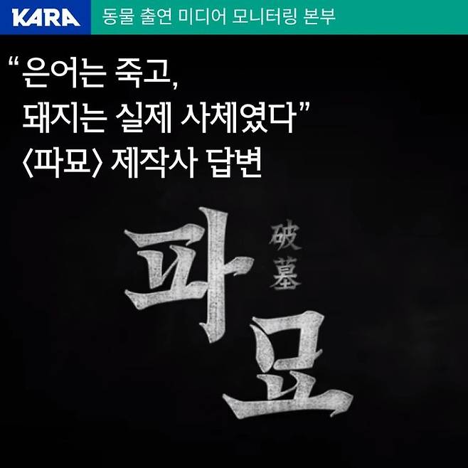 [서울=뉴시스]누적 관객 1000만 명을 돌파한 영화 '파묘' 속 돼지 사체를 난도질하는 '대살굿' 장면에서 실제 돼지 사체가 사용된 것으로 드러났다.(사진=동물권행동 카라 블로그 캡처) *재판매 및 DB 금지