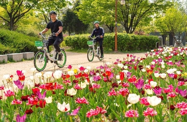 서울시 공공자전거 ‘따릉이’를 타는 시민들. 서울시