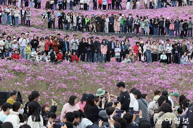 21일 서울 노원구 불암산 힐링타운에서 열린 ‘2024 불암산 철쭉제’를 찾은 시민들이 꽃밭에 나비를 방생하는 체험을 하고 있다. 박형기 기자 oneshot@donga.com