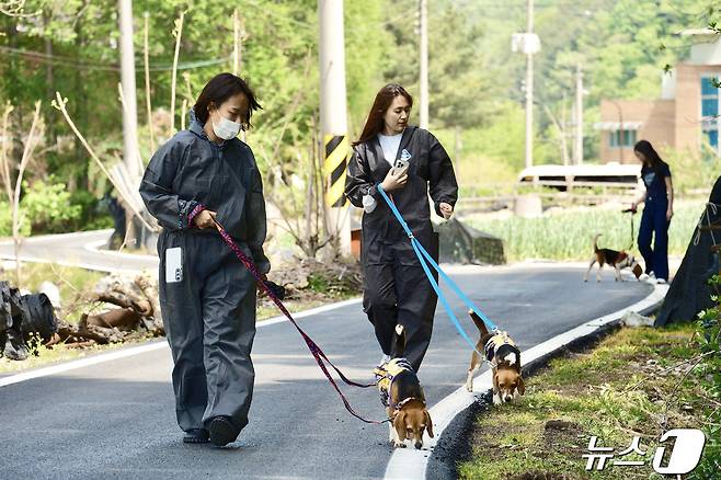 비글구조네트워크 논산센터에서 한진 직원이 강아지 산책 봉사활동을 하고 있다.(한진 제공) ⓒ News1 김민석 기자