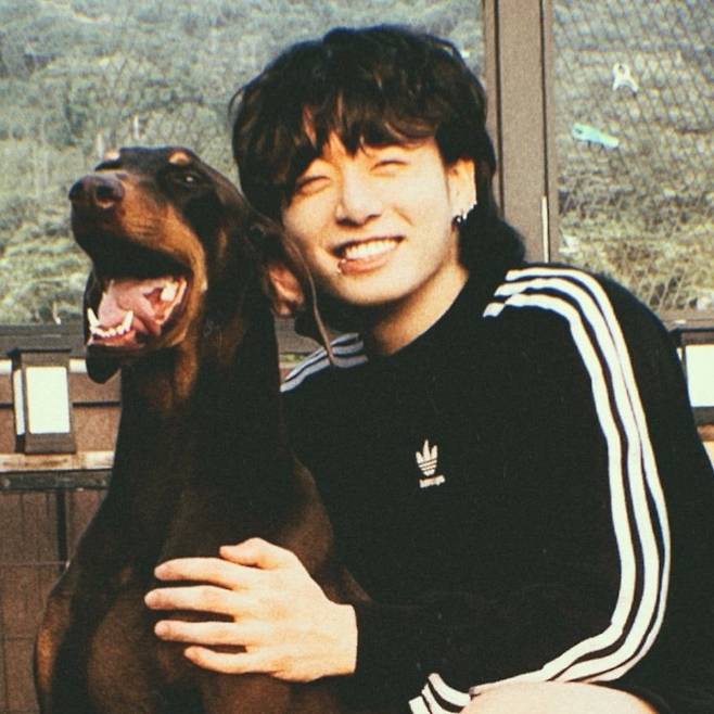 방탄소년단 정국 반려견 '밤' 500만 팔로워 돌파