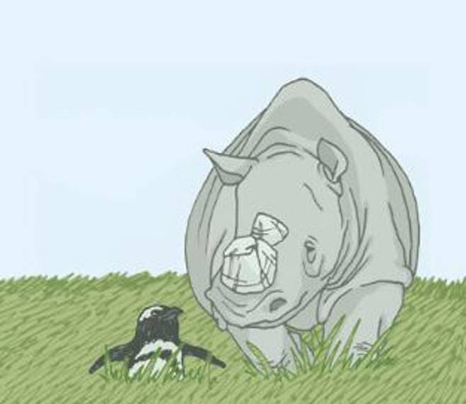 ‘긴긴밤’의 어린 펭귄(왼쪽)과 흰바위코뿔소 노든