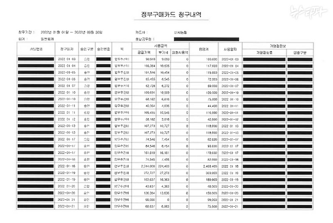 ▲ 법무부가 지난해, 가맹점 상호와 업종구분, 출납공무원의 이름 등을 먹지로 까맣게 가린 채 업무추진비 '정부구매카드 내역'을 공개했다.