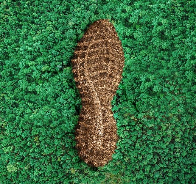 게티이미지뱅크