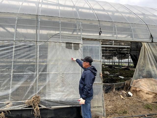 농민 정규연씨가 침수 피해를 입은 하우스 앞에서 성인 키 높이 만큼 물이 차올랐던 당시 상황을 설명하고 있다.