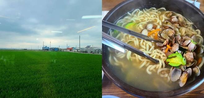 요즘 빼놓을 수 없는 핫플의 요건 중 하나. 바로 논밭뷰다. 토성식당의 뷰와 맛도 ‘또간집’이 될만 하다. 이혜승씨·블로거 최금주씨 제공