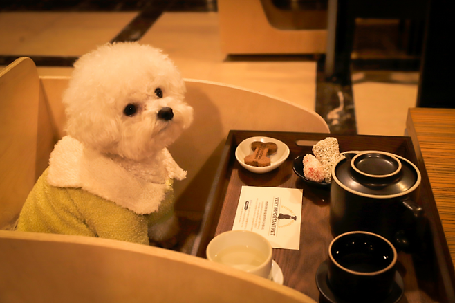 켄싱턴리조트 충주, 반려동물 동반 뷔페 <사진=이랜드>