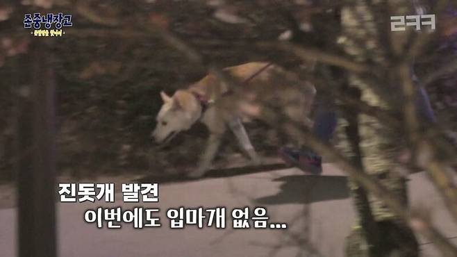 방송인 이경규씨가 진행하는 유튜브 예능 프로그램 ‘존중냉장고’가 첫 화부터 진돗개 차별, 시민 무단 촬영 등으로 비판이 이어지자 제작진이 사과했다. 유튜브 갈무리