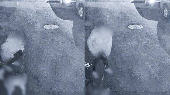 한밤중 개와 함께 산책 나온 여성이 남의 집 앞 도로변에서 변을 보고 간 모습이 폐쇄회로(CC)TV에 담겼다. 사진 보배드림 캡처