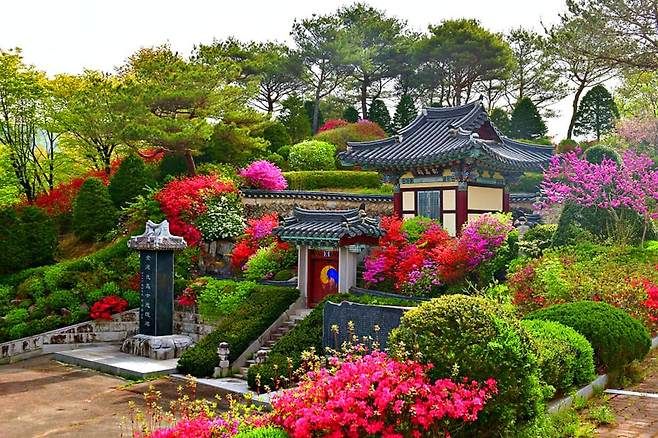 척야산문화수목원 봄 풍경