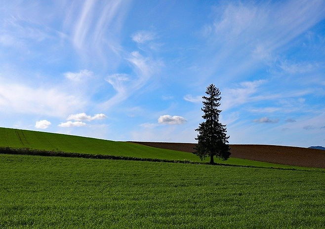 홋카이도 패치워크의 길 / 사진=하나투어 제공