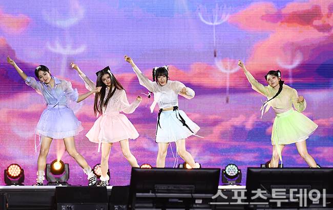 스포츠투데이 포토