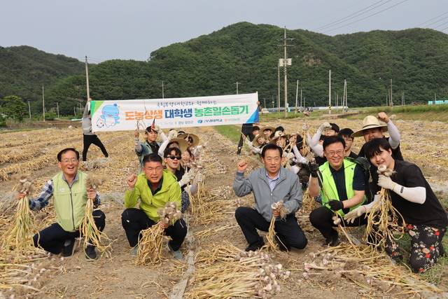 25일 경남 합천 삼가면의 한 마늘밭에서 국립부경대학교 학생들과 정찬호 부산농협본부장(앞줄 오른쪽 두번째부터), 합천새남부농협 김진석 조합장과 박영근 상무, 노순현 NH농협 합천군지부장 등이 농촌일손돕기를 하고 있다.
