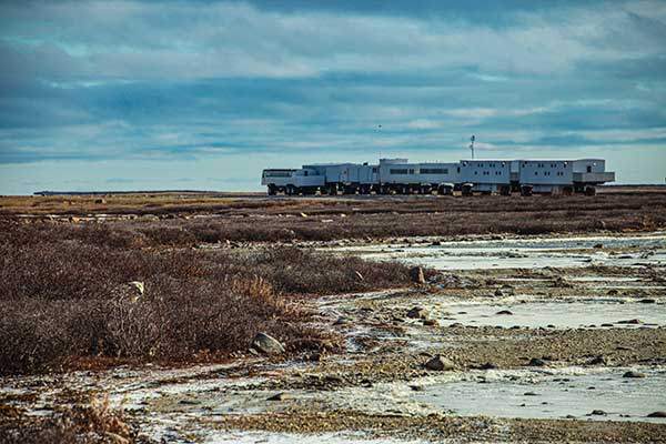기나긴 열차 모양의 툰드라 숙소차량. 숨은 북극곰 찾기.