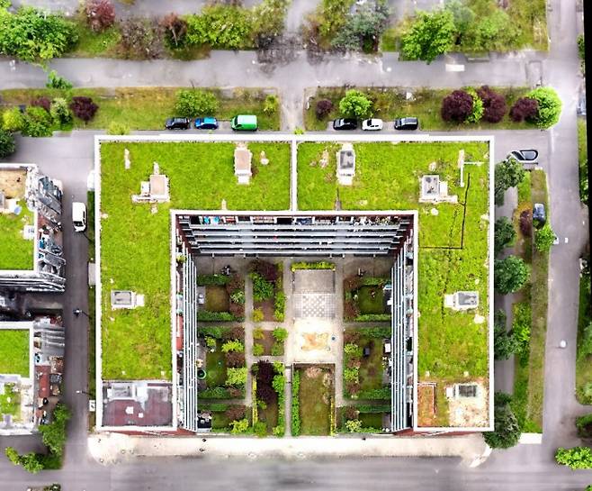 4월 25일 독일 베를린 동부의 루멜스부르크 주택단지를 찾아 이곳의 그린 인프라를 살펴봤다. 사진은 루멜스부르크 주택단지 옥상의 녹화시설. 과학동아 특별취재팀 제공