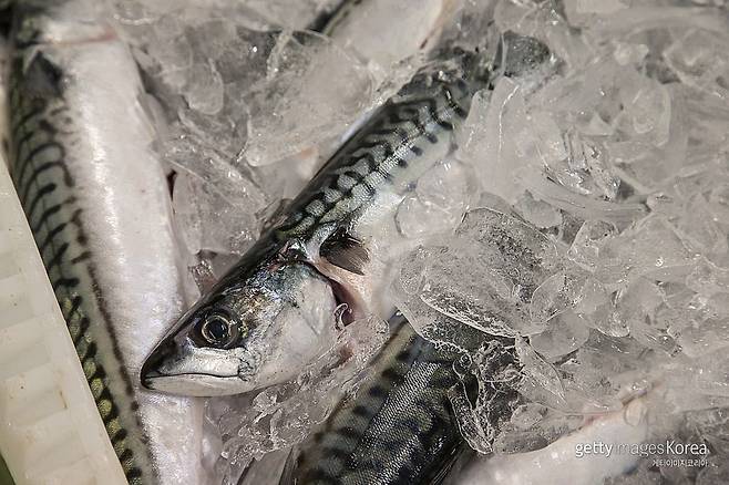 사진=게티이미지코리아.