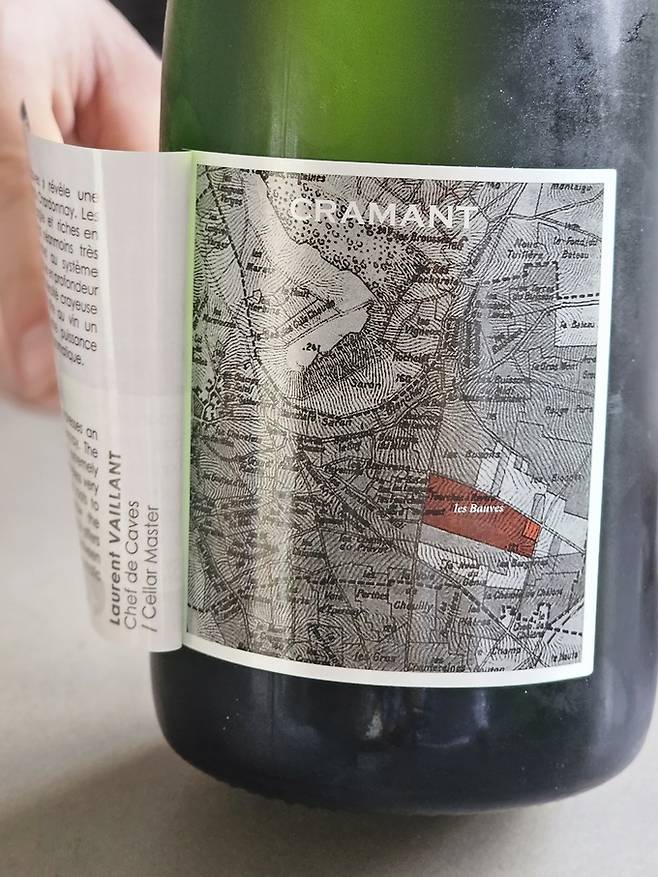 백레이블 포도밭 위치 정보. 최현태 기자