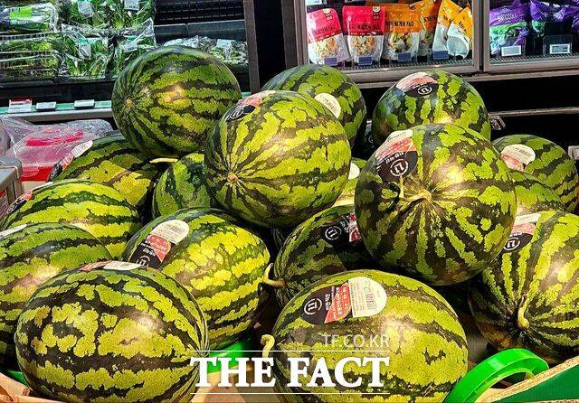 지난 14일 롯데마트 서초점 과일 코너에 수박 상품이 진열돼 있다. /우지수 기자