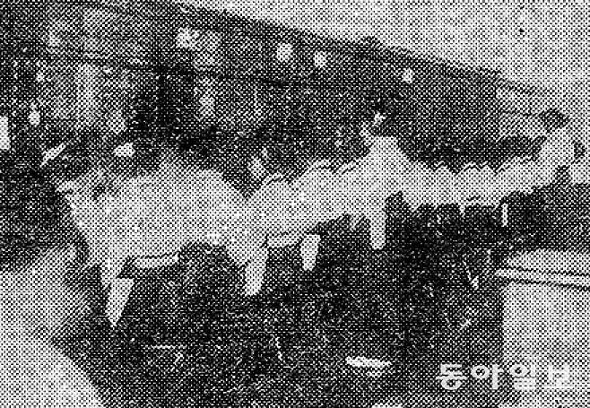 1924년 6월 13일자 동아일보